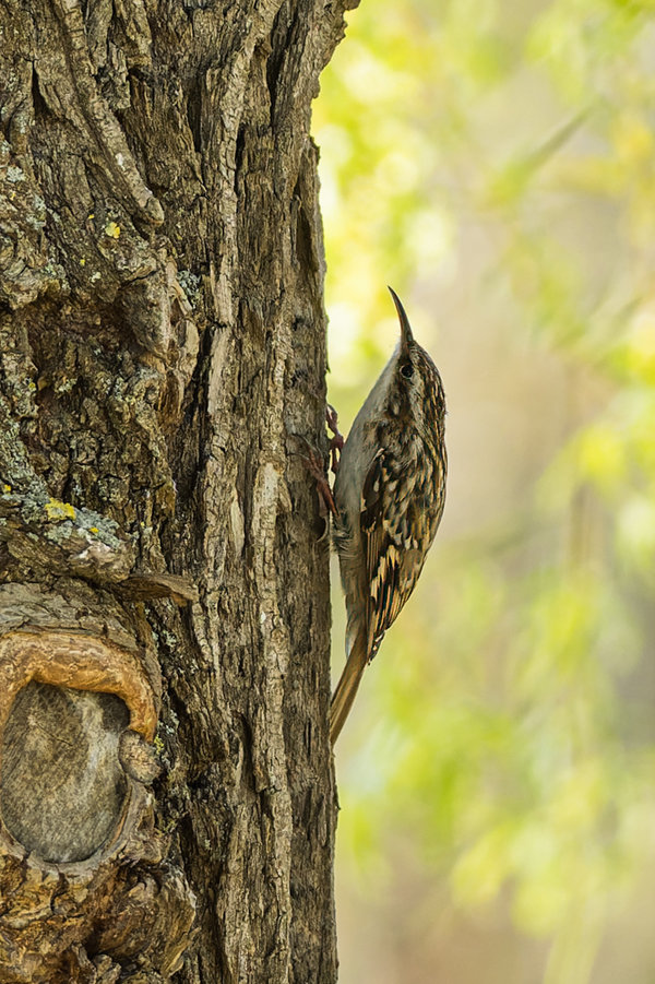 Beller Mühle Park 2021-477_DxO-Bearbeitet.jpg