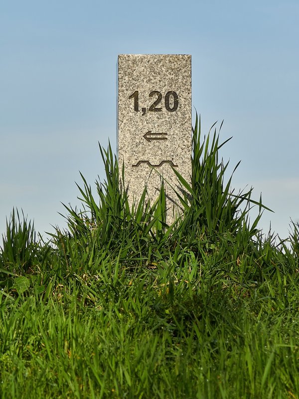 2021-04-11_OLYMPUS_OM_AN_E-M1_4110116.jpg 2021-04-11_OLYMPUS_OM_AN_E-M1_4110116.jpg