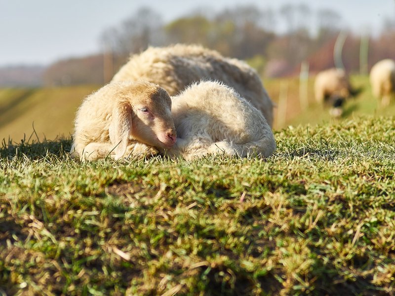 2021-04-11_OLYMPUS_OM_AN_E-M1_4110129.jpg 2021-04-11_OLYMPUS_OM_AN_E-M1_4110129.jpg