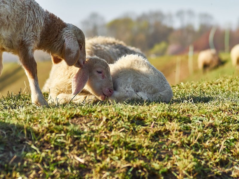 2021-04-11_OLYMPUS_OM_AN_E-M1_4110130.jpg 2021-04-11_OLYMPUS_OM_AN_E-M1_4110130.jpg