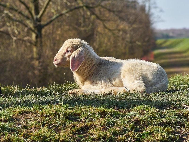 2021-04-11_OLYMPUS_OM_AN_E-M1_4110162.jpg 2021-04-11_OLYMPUS_OM_AN_E-M1_4110162.jpg