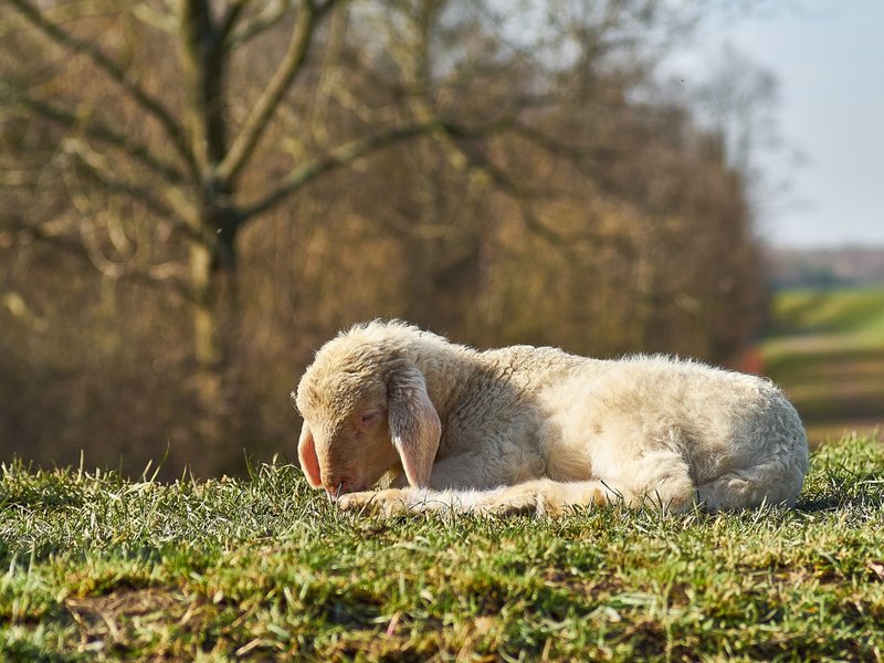 2021-04-11_OLYMPUS_OM_AN_E-M1_4110168.jpg 2021-04-11_OLYMPUS_OM_AN_E-M1_4110168.jpg