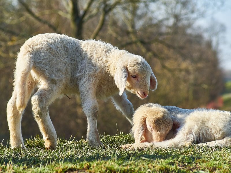 2021-04-11_OLYMPUS_OM_AN_E-M1_4110176.jpg 2021-04-11_OLYMPUS_OM_AN_E-M1_4110176.jpg