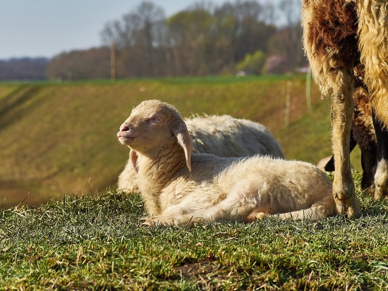 2021-04-11_OLYMPUS_OM_AN_E-M1_4110183.jpg 2021-04-11_OLYMPUS_OM_AN_E-M1_4110183.jpg