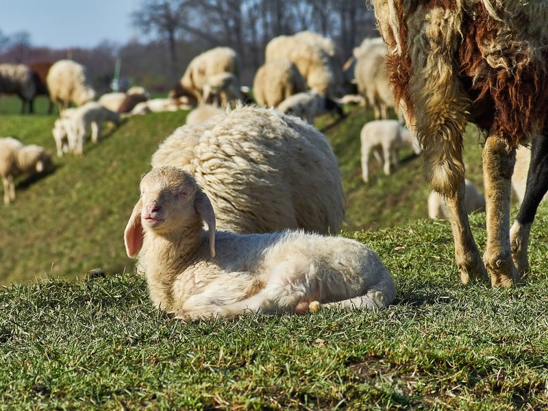 2021-04-11_OLYMPUS_OM_AN_E-M1_4110186.jpg 2021-04-11_OLYMPUS_OM_AN_E-M1_4110186.jpg