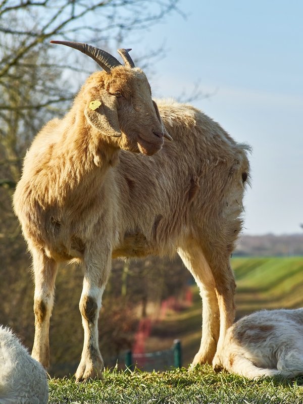 2021-04-11_OLYMPUS_OM_AN_E-M1_4110153.jpg 2021-04-11_OLYMPUS_OM_AN_E-M1_4110153.jpg