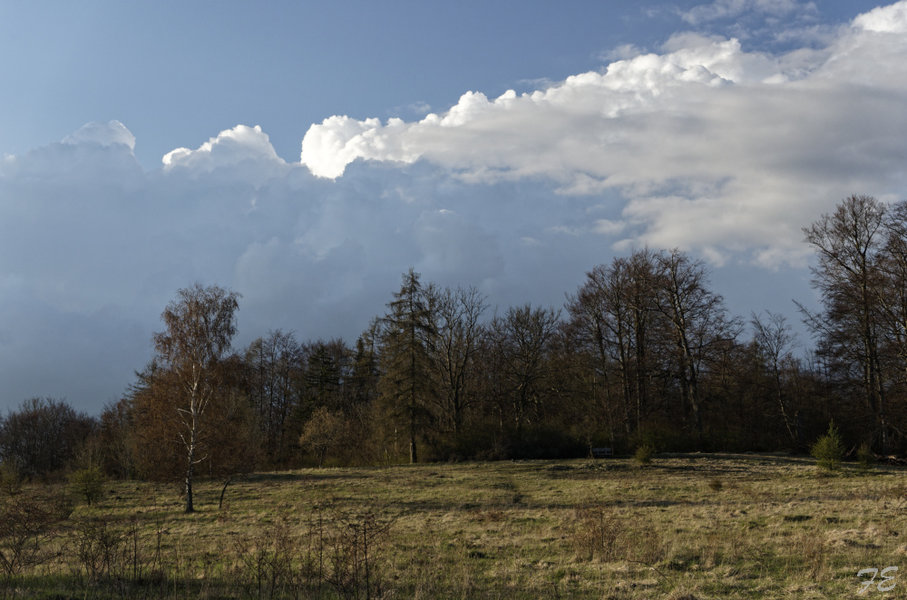 _IGP2723_DxO.jpg