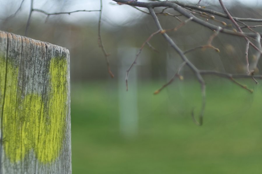 2021-04-14_MEOPTA_1.3_50mm_AN_GX7_CO_8270856.jpg 2021-04-14_MEOPTA_1.3_50mm_AN_GX7_CO_8270856.jpg