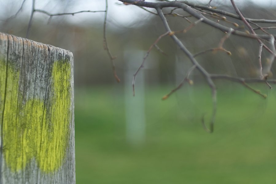 2021-04-14_MEOPTA_1.3_50mm_AN_GX7_8270856.jpg 2021-04-14_MEOPTA_1.3_50mm_AN_GX7_8270856.jpg