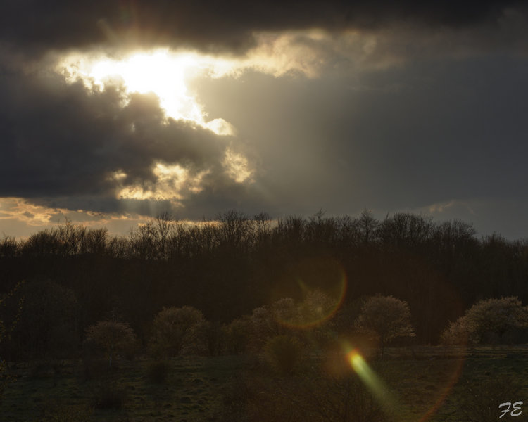 _IGP2737_DxO.jpg
