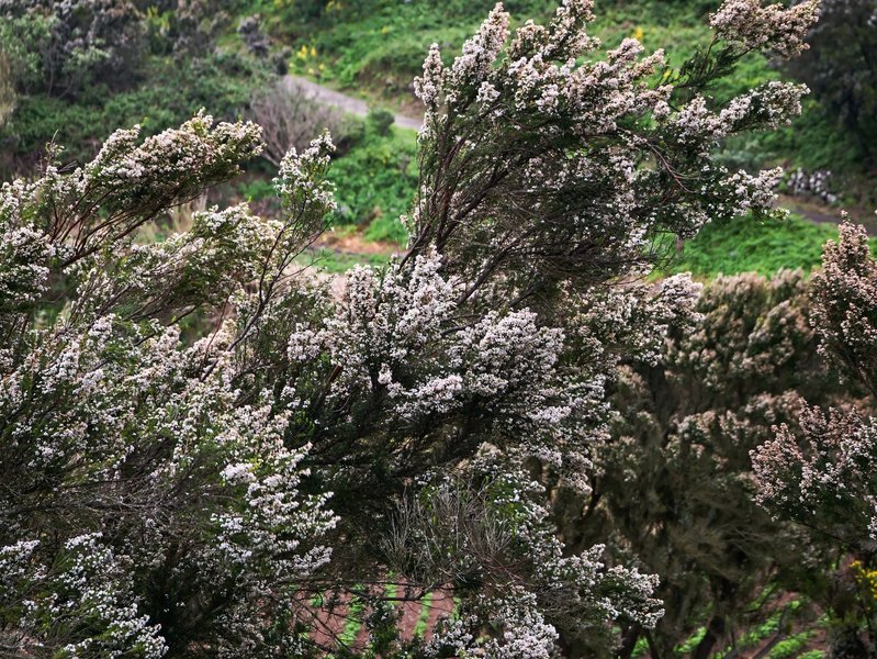 P1050618.jpg P1050618.jpg