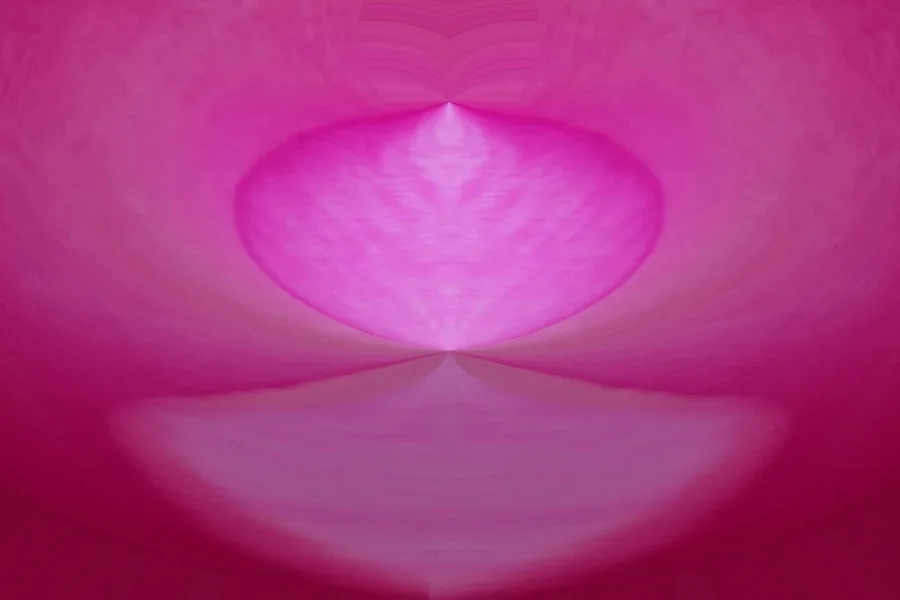 WeihnKakshadesofpinkAbstractSL2Si105Mac2FantasyPoI_999x666.webp