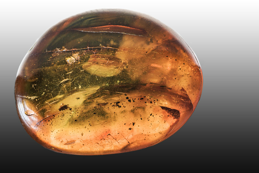 Stein 7 Vorderseite.jpg