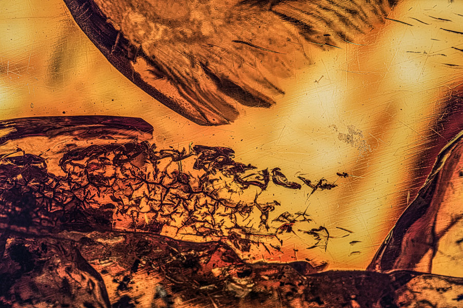 2021-04-18 10-38-15 (C,Smoothing4).jpg