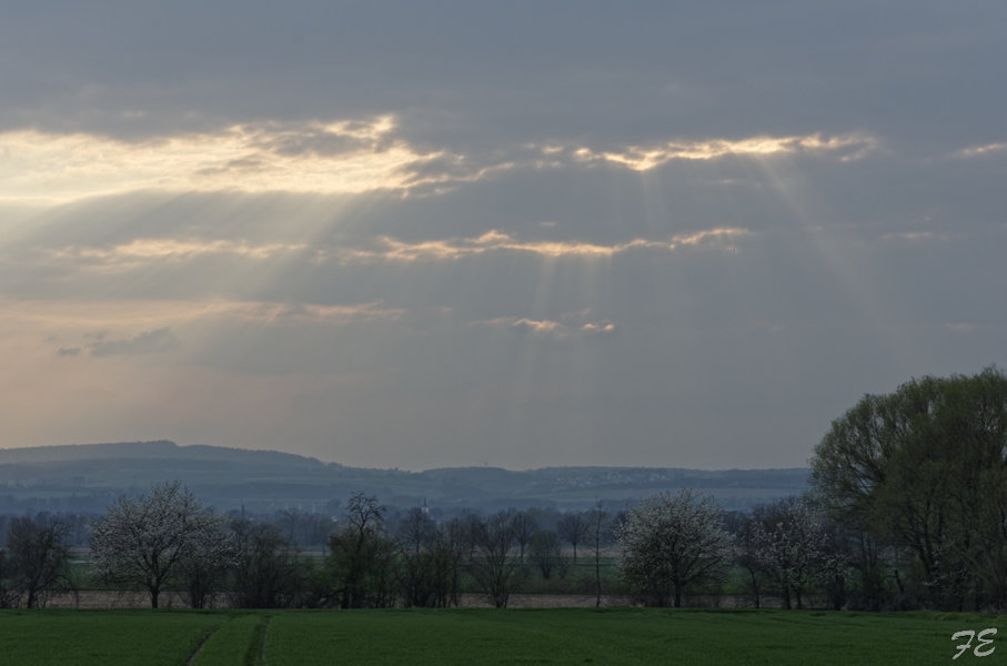 _IGP2747_DxO.jpg