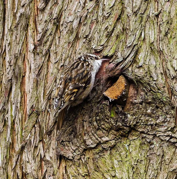 Beller Mühle 2021-668-ORF_DxO_DeepPRIME-Bearbeitet.webp