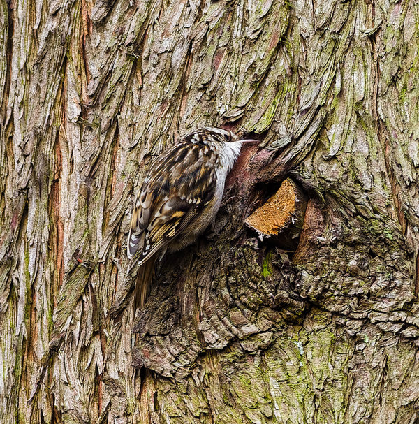 Beller Mühle 2021-668-ORF_DxO_DeepPRIME-Bearbeitet.jpg