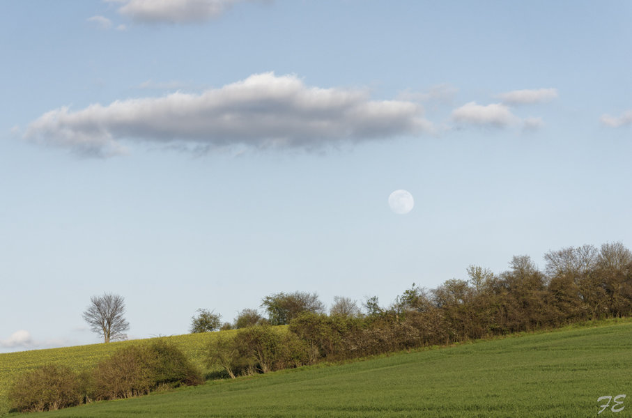 _IGP2782_DxO.jpg