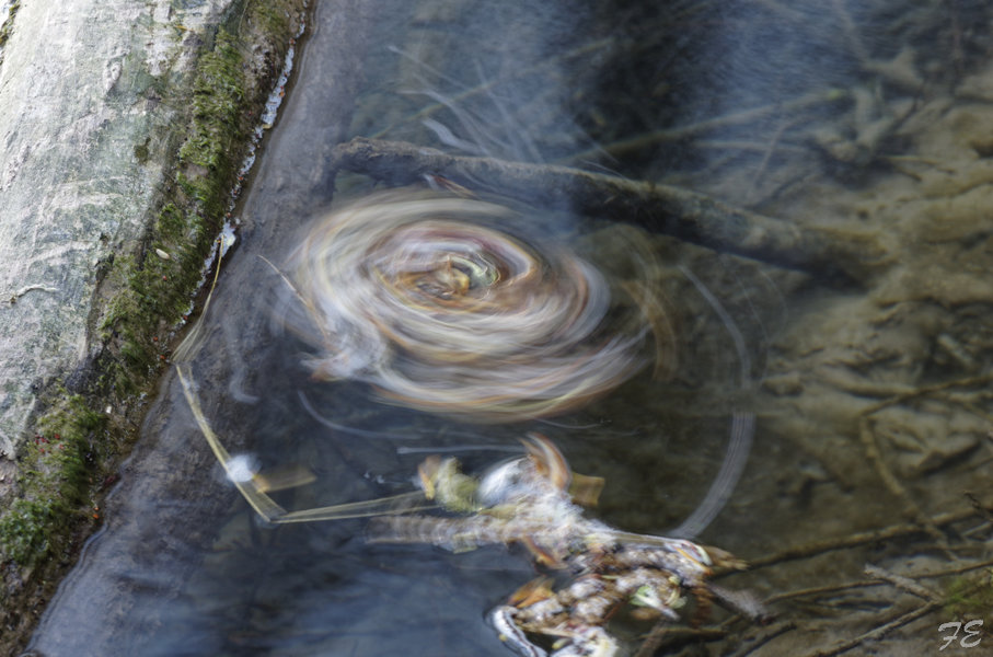 _IGP2794_DxO.jpg