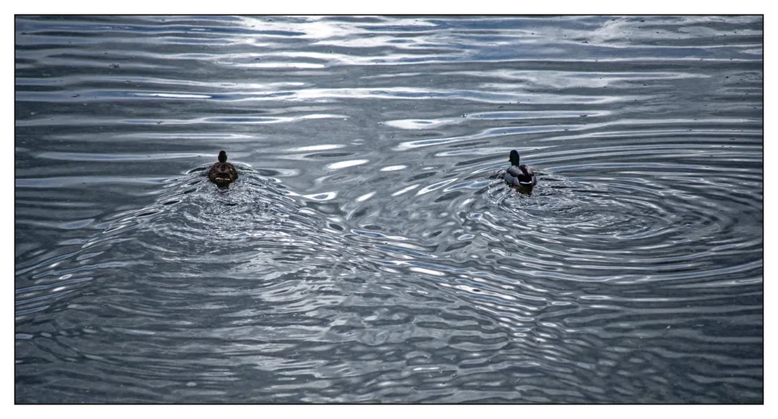 _small__IMG3206_DxO.JPG