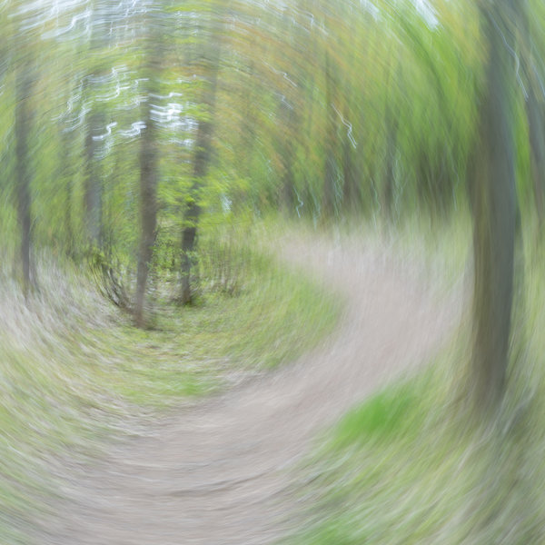 ci_A7301113.jpg