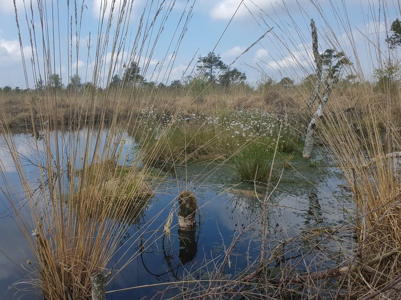 2021Moorci20210501-20210501_123151_019.jpg 2021Moorci20210501-20210501_123151_019.jpg