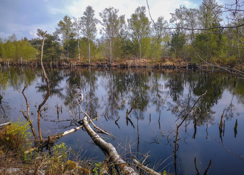 2021Moorci20210501-IMG_20210501_121536.jpg 2021Moorci20210501-IMG_20210501_121536.jpg