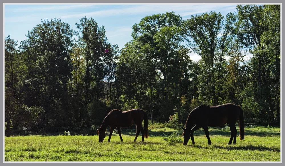 _small__IMG4719_1_DxO.webp