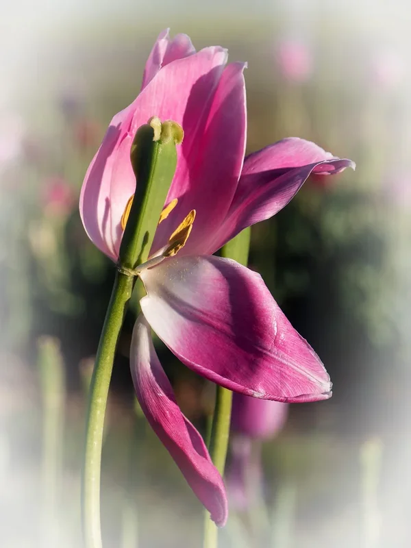 ci_05_PG9_5996 Kopie.webp