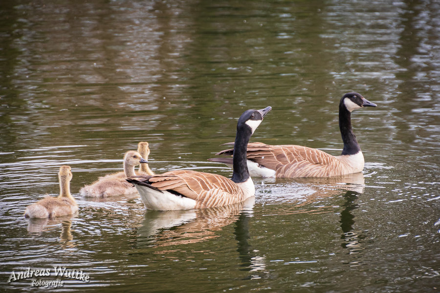 D75_4302_LR-2.jpg