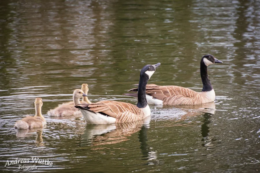 D75_4302_LR-2.webp