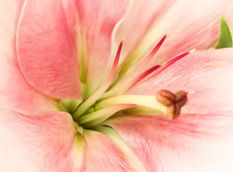 ci_PG9_3790_cep.jpg