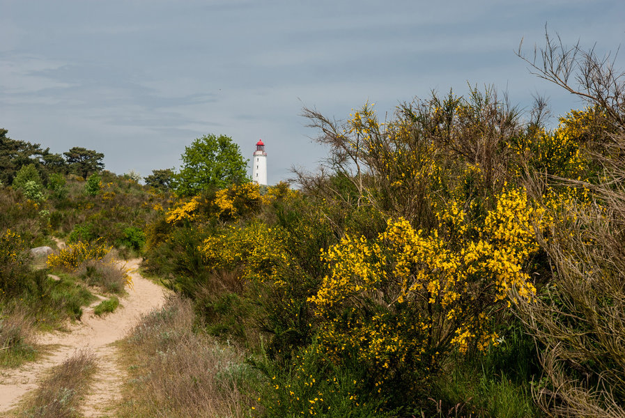 _DSC2555.jpg
