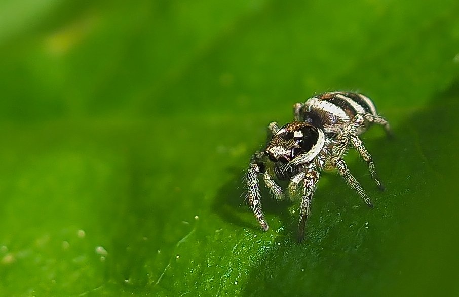 Garten 19052120210519-P5190299-Bearbeitet.jpg