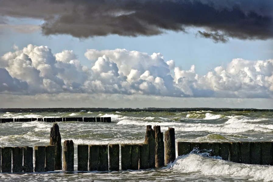 _DSC9286.jpg