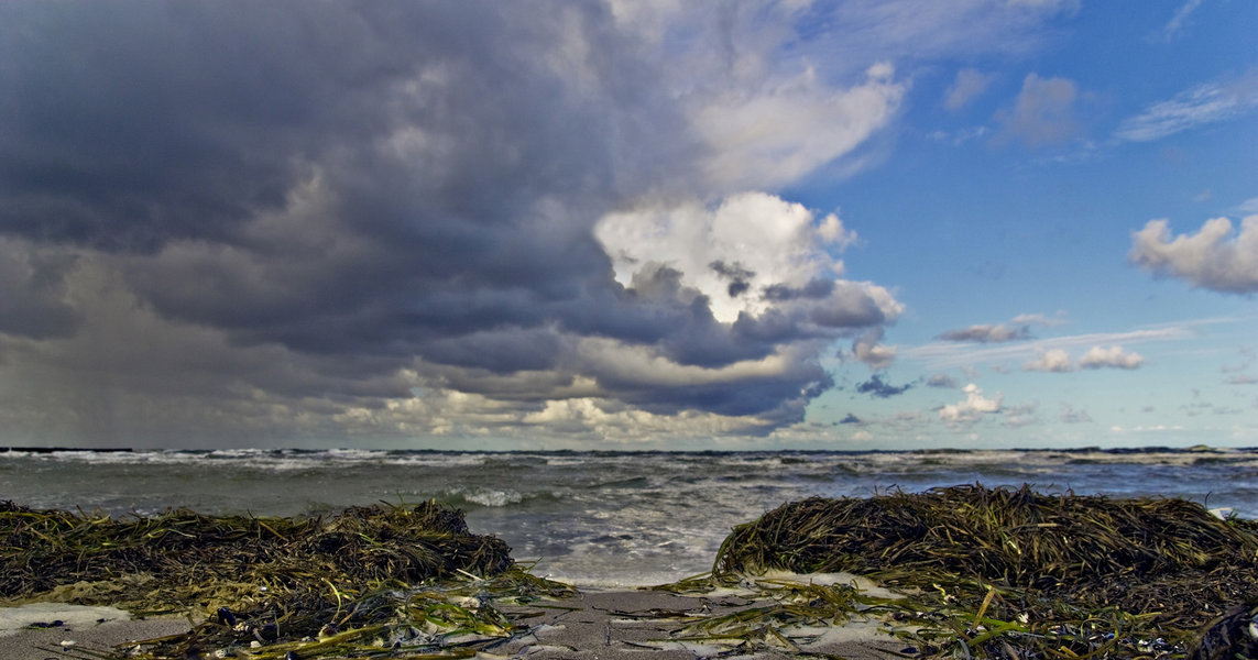 _DSC9298.jpg