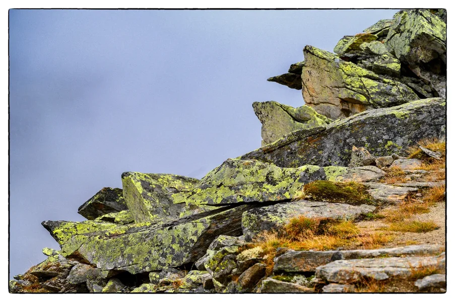 Aletsch.webp