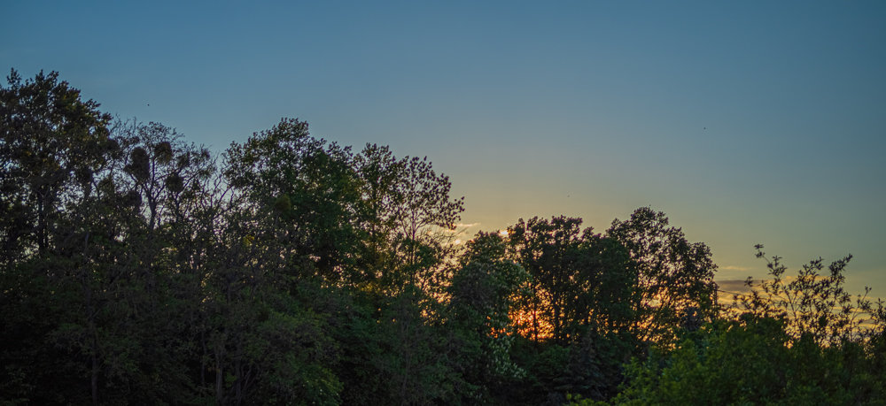 Sedlitz 2021-290-Bearbeitet-Bearbeitet.jpg