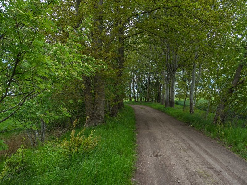 HoheMoor202120210523-P5230018.jpg HoheMoor202120210523-P5230018.jpg