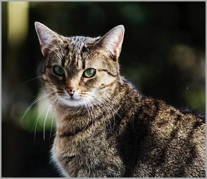 _small__IMG1706_1_DxO.webp