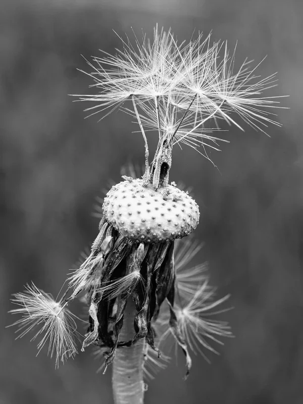 ci_06_PG9_6132_sw.webp