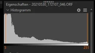 20210530_172107_046-OlympWorkspace-histogramm.webp