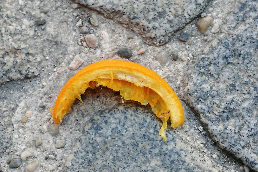 OrangeTrashCLLMac60MANBEFINAUSFINFINFIN_998x666.webp