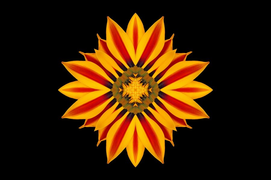 BlüteGELBORANGECLLMac60mmAUSFANTASYORDENAUFSCHWARZ_999x666.jpg