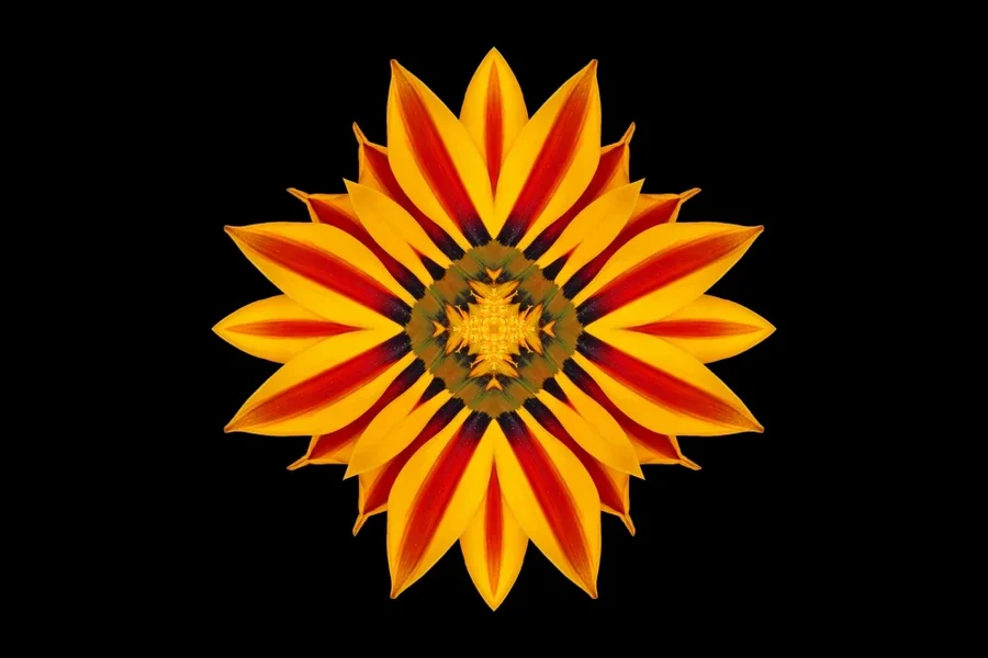 BlüteGELBORANGECLLMac60mmAUSFANTASYORDENAUFSCHWARZ_999x666.webp