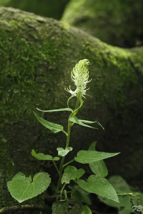 _IMG0547_DxO-1.webp