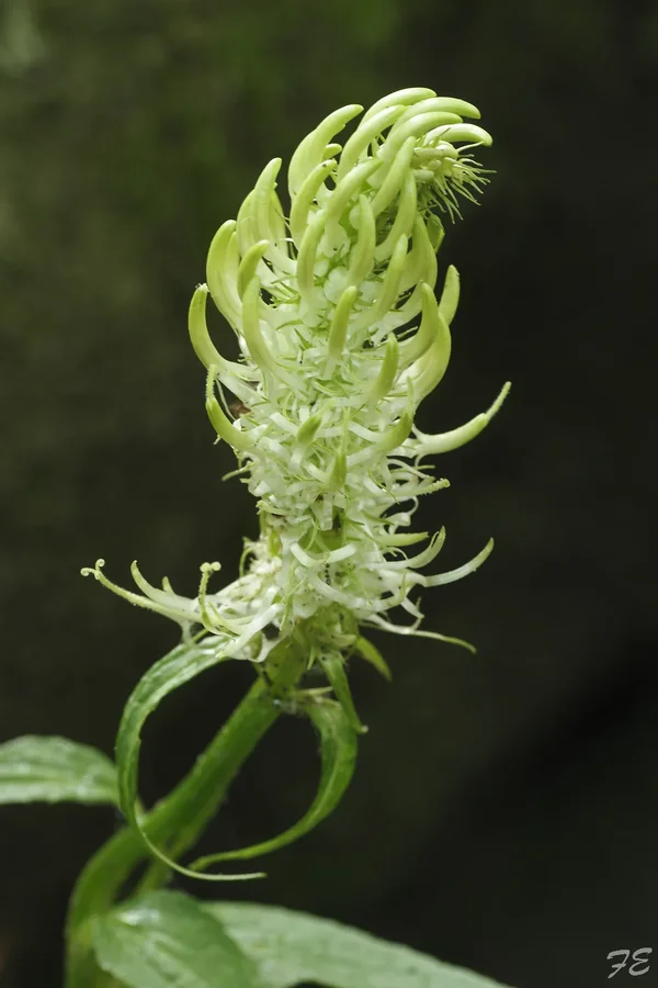 _IMG0551_DxO-1.webp