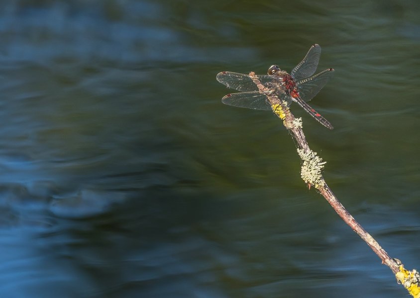 100621HMCI20210610-P6100088-Bearbeitet.jpg 100621HMCI20210610-P6100088-Bearbeitet.jpg