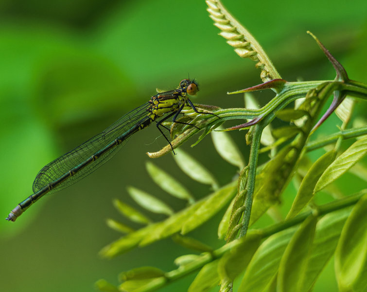 Senftenberg 2021-100-ORF_DxO_DeepPRIME-Bearbeitet.jpg