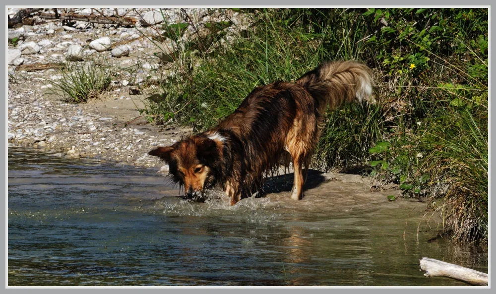 _small__IMG0625_M_DxO.JPG